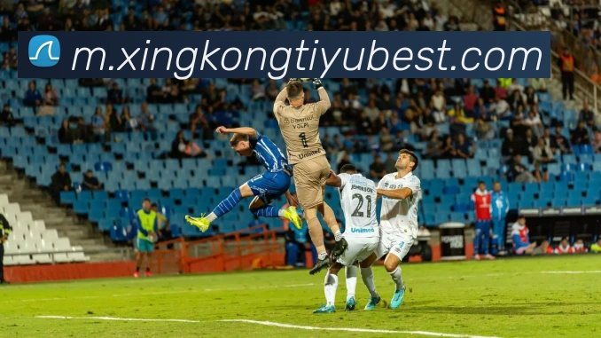 多媒体互动体验